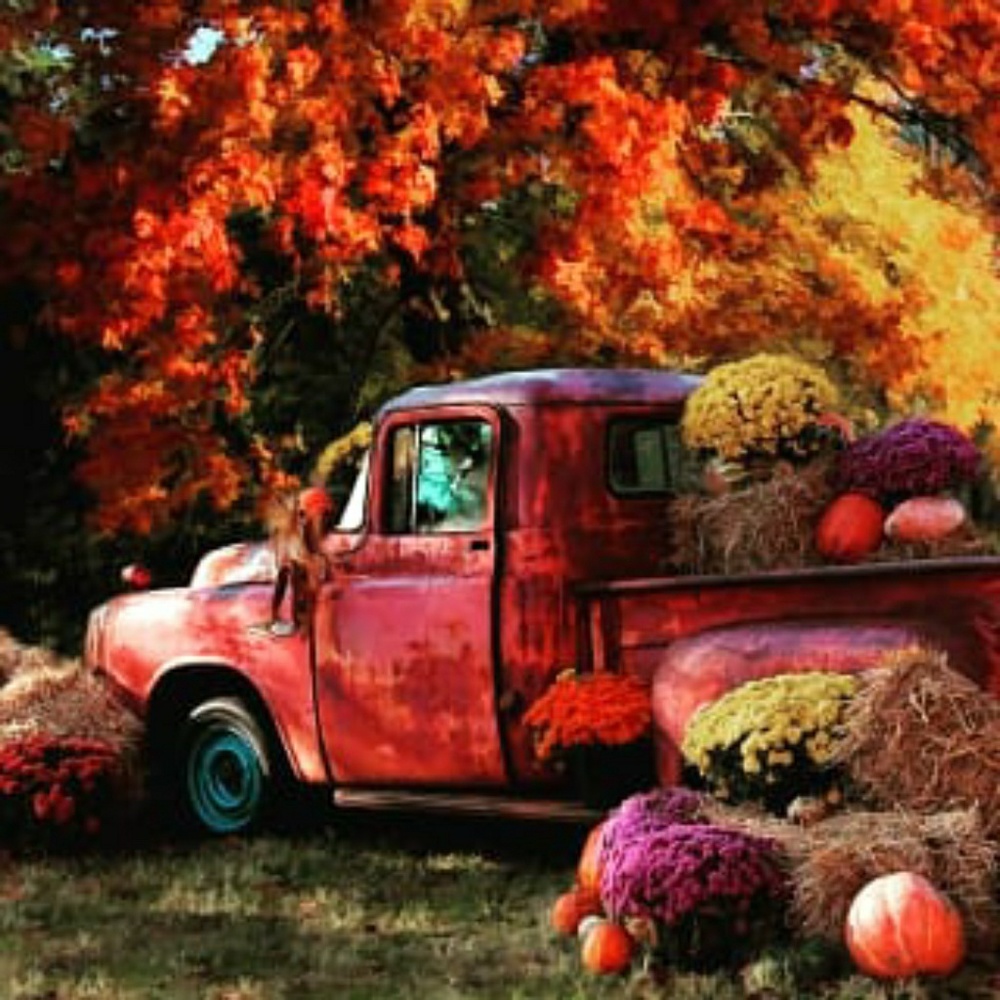 Meet your Posher, Donna